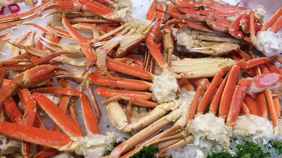 Du crabe des neiges.