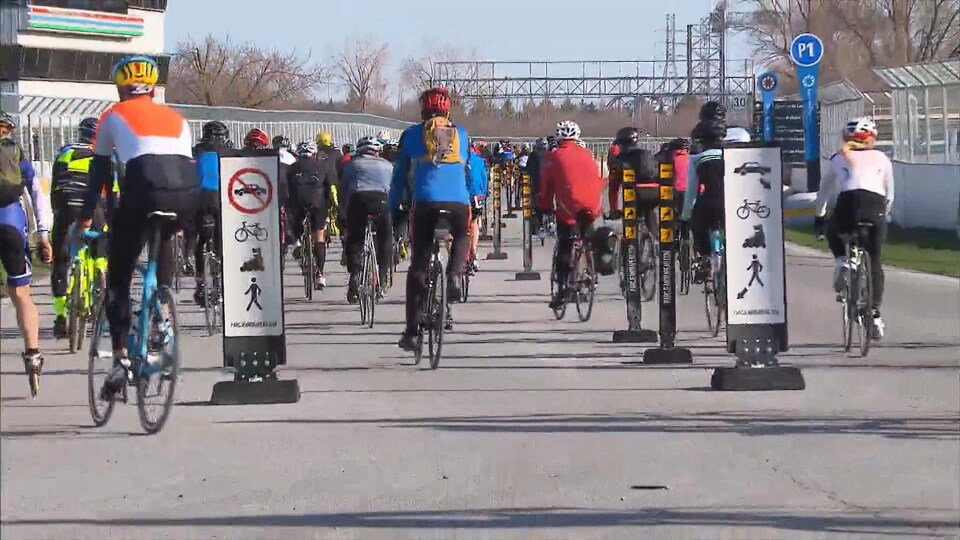 Une foule de cyclistes vus de dos en train de rouler sur une piste cyclable.