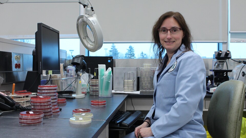 La Dre Danielle Brabant-Kirwan est vêtue d'une blouse de laboratoire et assise devant un plan de travail avec des boîtes de Pétri