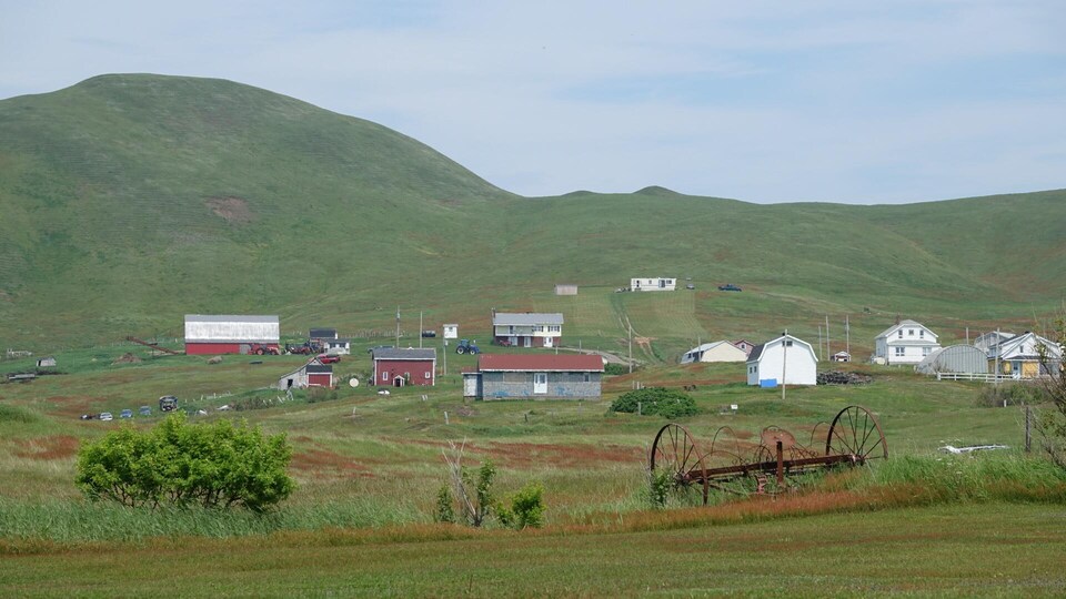 Un paysage bucolique se dresse à l'horizon, avec des petites maisons et des collines.