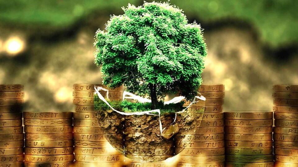 Une terre ronde où l'on voit un arbre sur un fond de pièce de monnaie