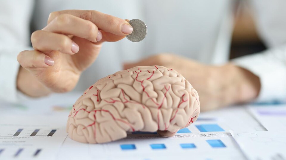 Une personne met une pièce de monnaie dans un cerveau.