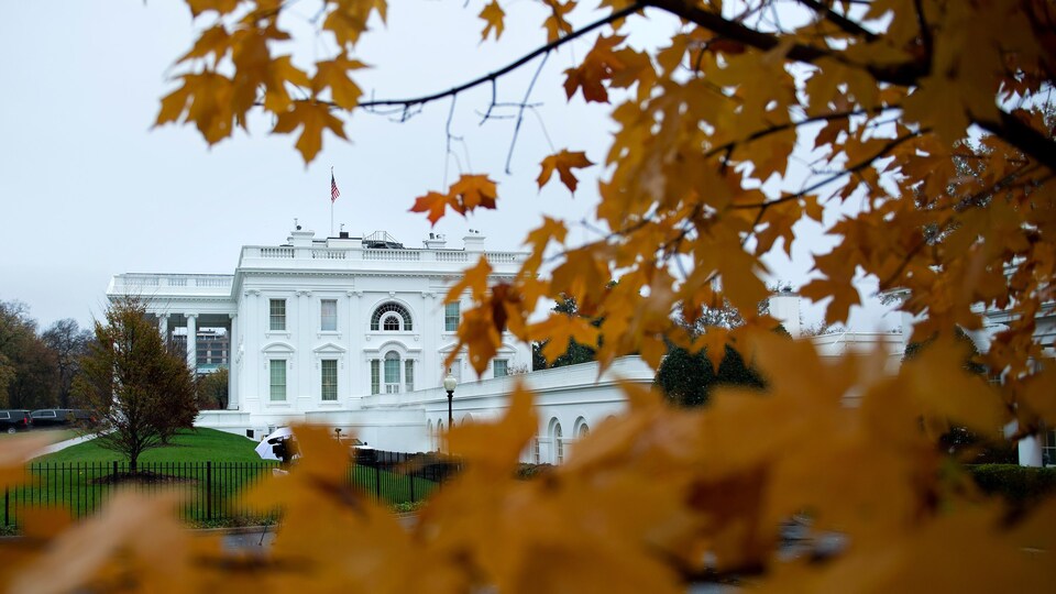 Une vue, un peu cachée par des feuilles au couleur d'automne, de la Maison-Blanche, le 12 novembre 2020, à Washington.
