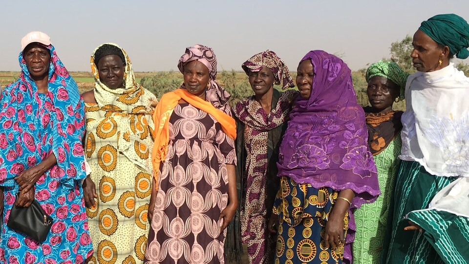 L'agricultrice Ndèye Gaye (à gauche) et ses partenaires 