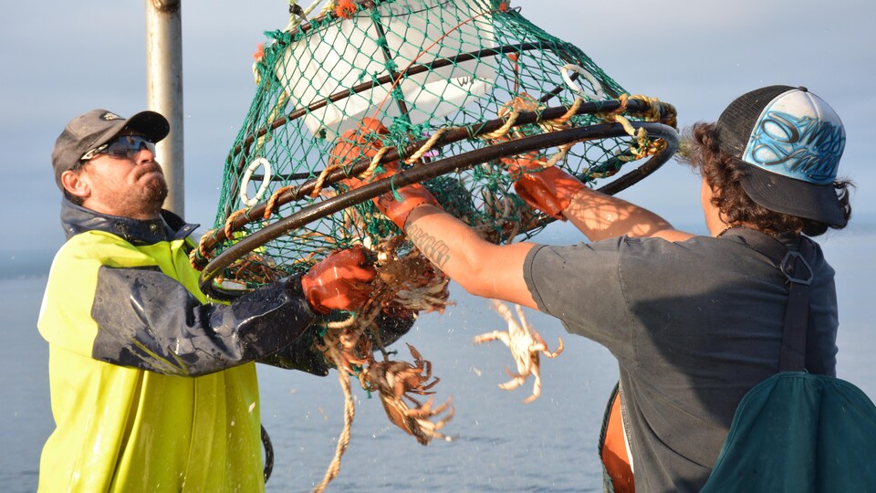 Des pêcheurs vident un casier à crabes.