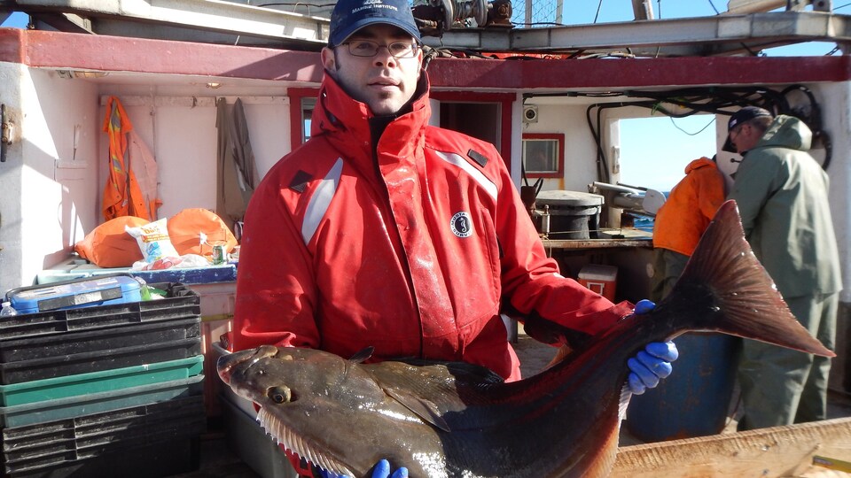 Dominique Robert, professeur en écologie halieutique à l'Université du Québec à Rimouski, tenant un flétan dans ses mains (dans un bateau de pêche).