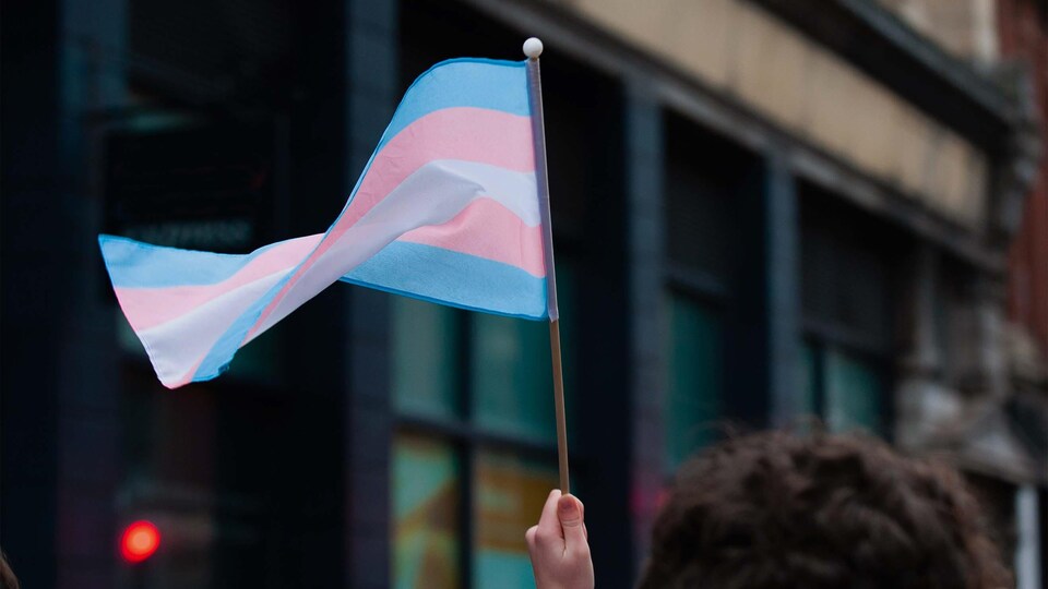Le drapeau de la fierté transgenre.