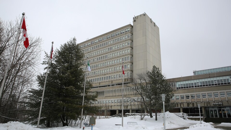Une rangée de drapeau devant l'un des pavillons de l'Université Laurentienne