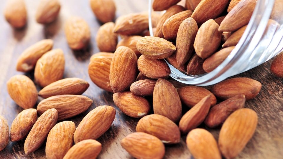 Les amandes favoriseraient l'élimination du mauvais cholestérol ...