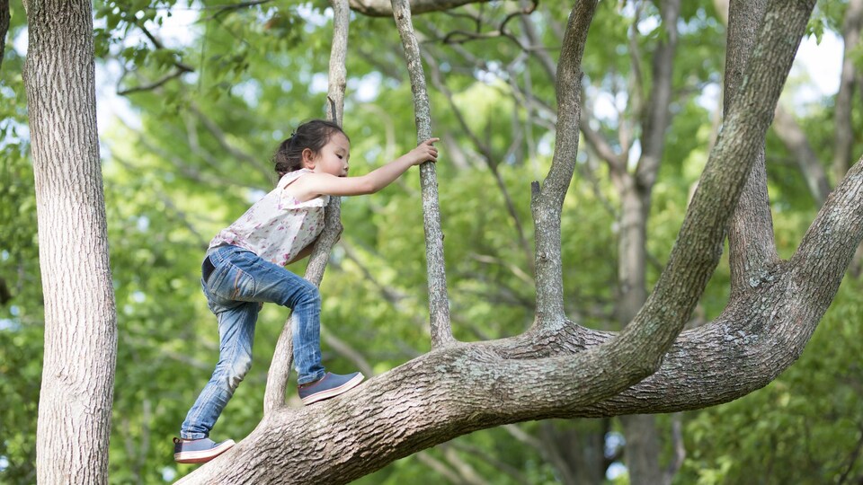 Une fillette grimpe dans un arbre.