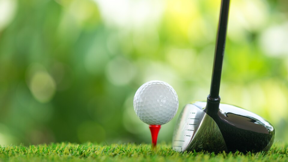 Un bâton et une balle de golf.