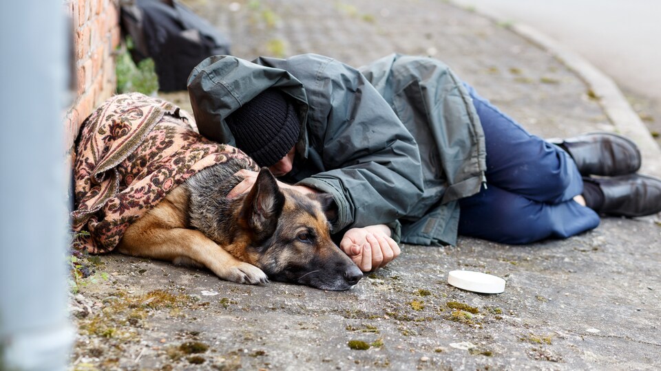 Un jeune itinérant dort appuyé sur son chien