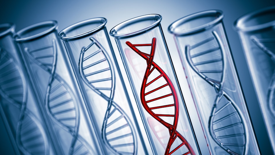 La vigilance est de mise quant aux tests d'ADN vendus sur Internet.