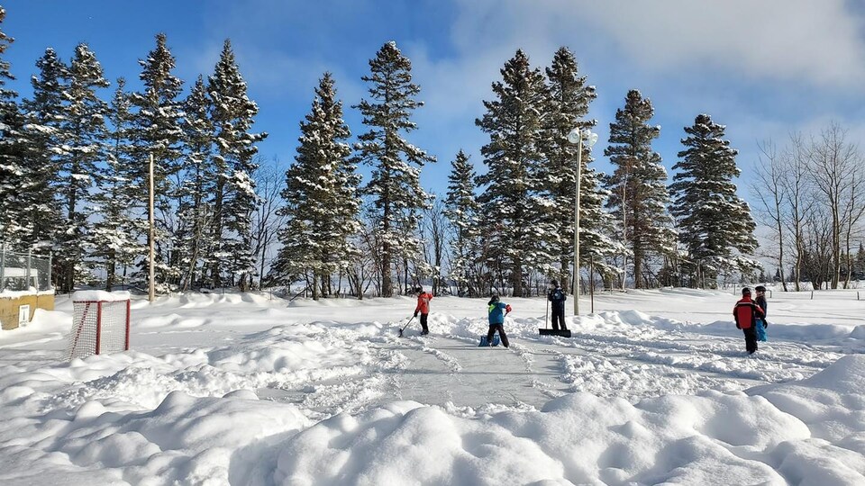 Cinq jeunes sont sur une patinoire extérieure. Ils ont des pelles dans les mains et déneigent la surface.