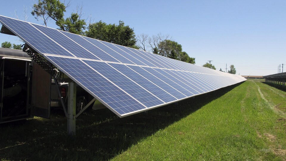 Une rangée de panneaux solaires dans un champ ensoleillé.
