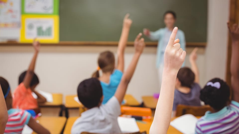 Des élèves lèvent la main dans une classe.