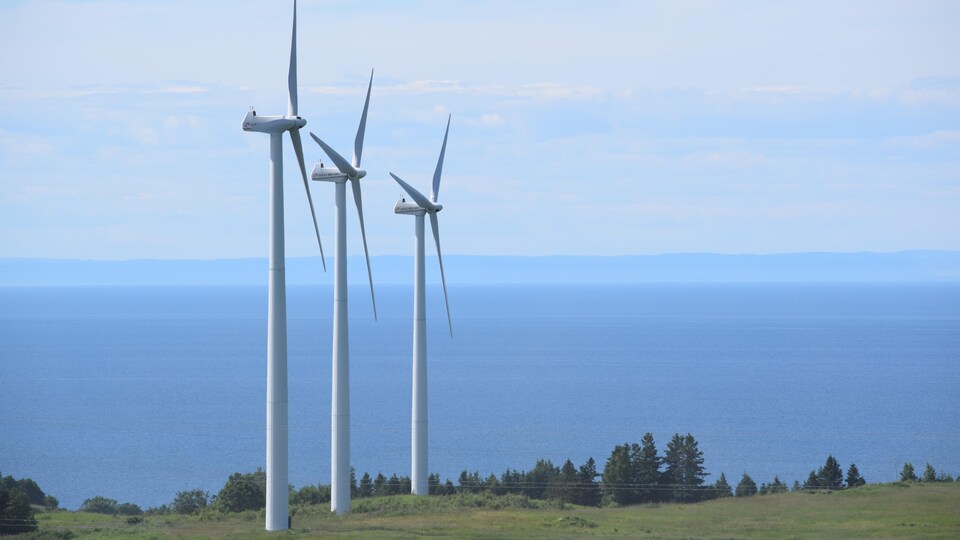 Trois éoliennes sur le bord d'un fleuve.