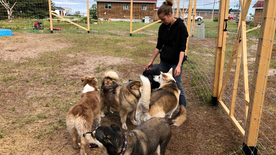 Karolie Grenier et 5 chiens dans un enclos d'Espace humain animal est une pension canine 