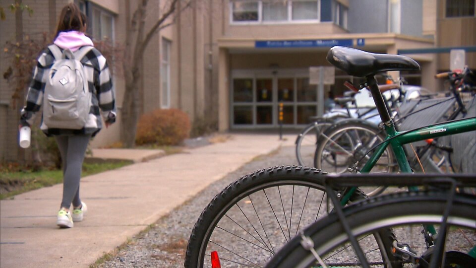 Une étudiante, de dos, marche vers l'entrée de son collège.