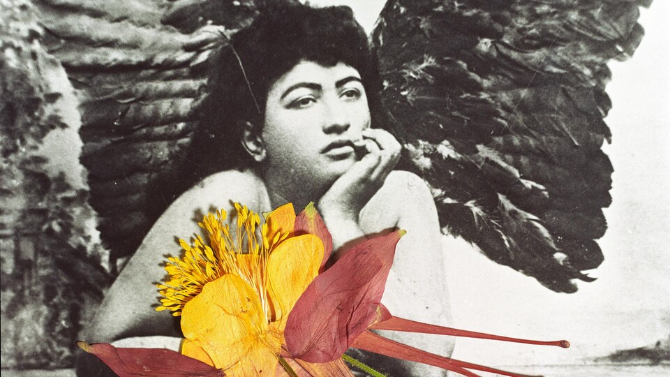 Oeuvre photographique de l'artiste Bahaman Jalali