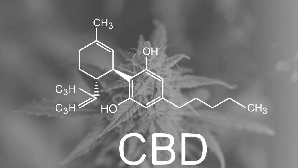 La molécue du CBD est dessinée en avant plan. En arrière plan, la silouhette d'un plan de cannabis.