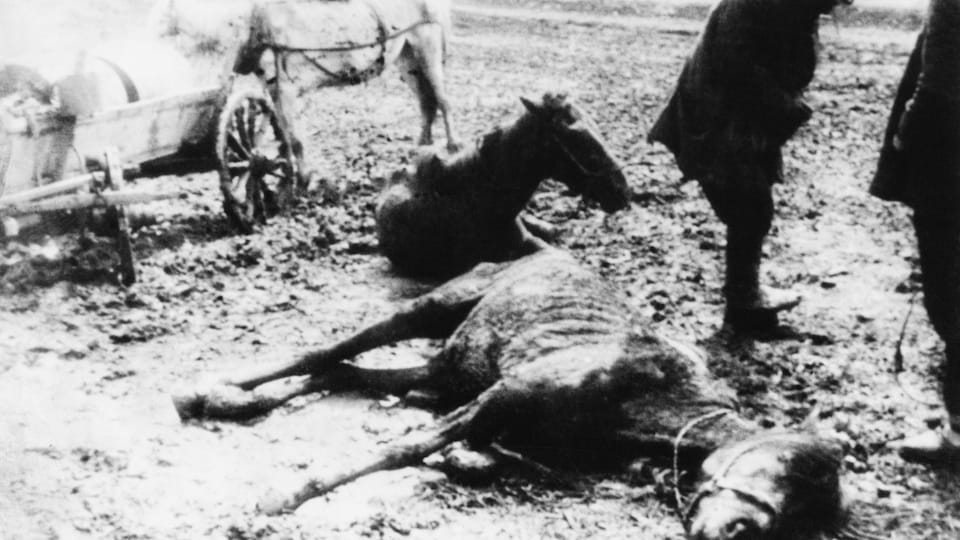 Chevaux morts et mourants près d'une ferme collective de Belgorod pendant la famine d'origine humaine de l'Holodomor en Ukraine, ex-Union soviétique, 1934.
