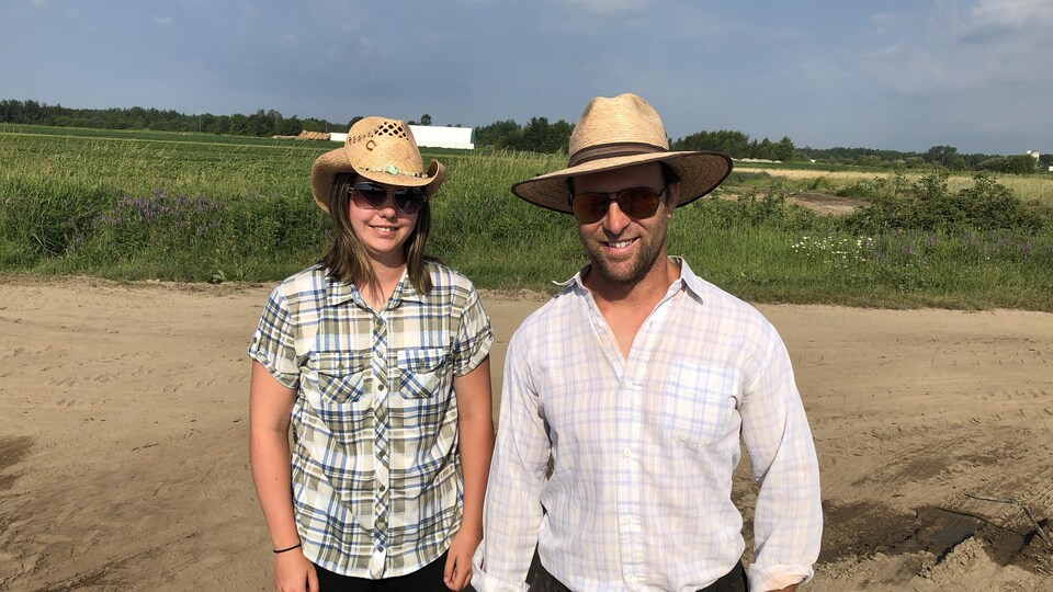 La cueillette de fraises est maintenant ouverte à Leisure Farms à