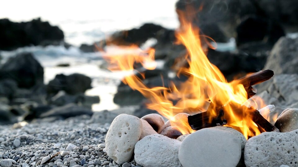Un feu de bois sur une plage