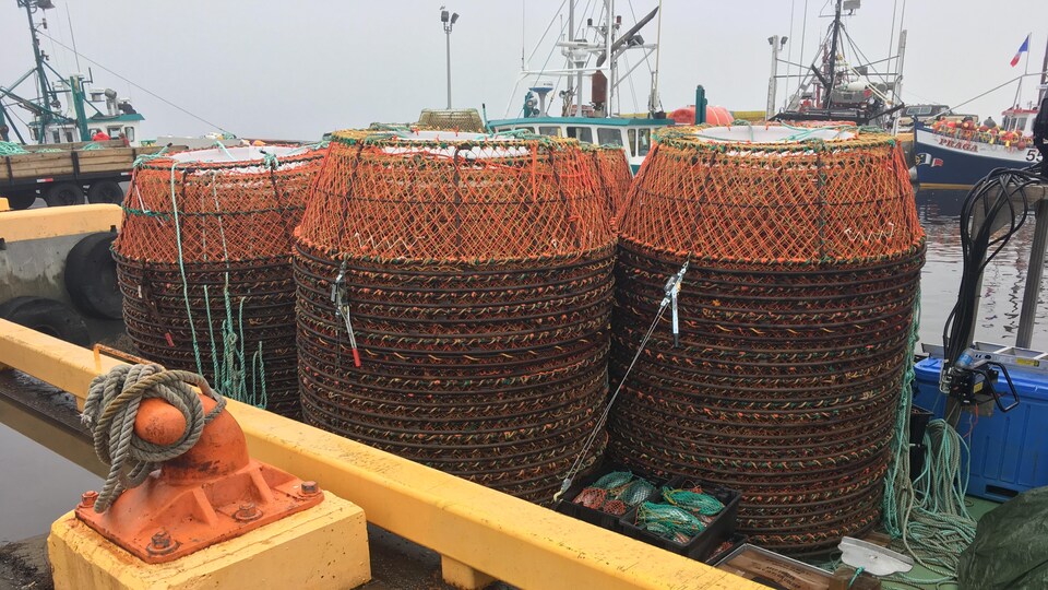 De multiples casiers circulaires de pêche au crabe disposés sur un bateau.