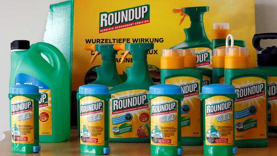 L'herbicide Roundup dans différents emballages.