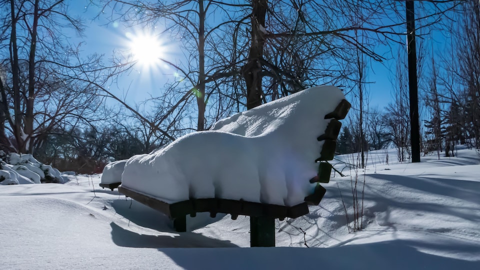 Un banc sous la neige dans une foret.