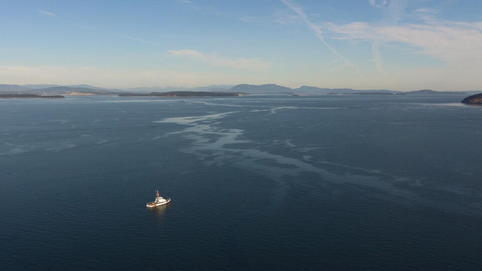 Un bateau de plongée, dans une vue aérienne.