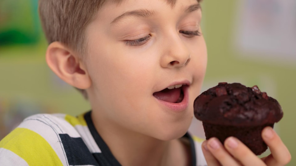 Gros plan sur un jeune garçon s'apprêtant à manger un muffin au chocolat. 