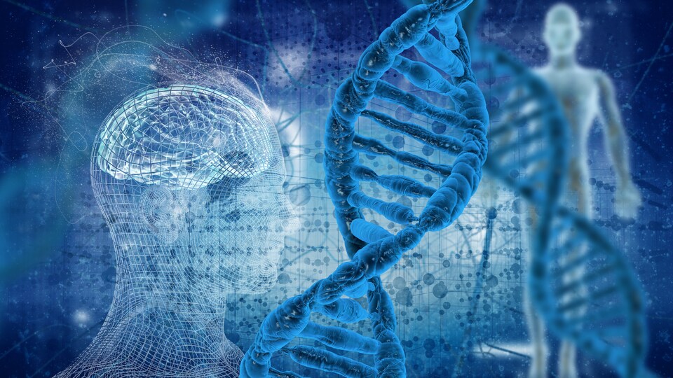 Vue informatisée d'un corps humain et d'une tête humaine sur lesquels est superposée la modélisation de deux séquences d'ADN.