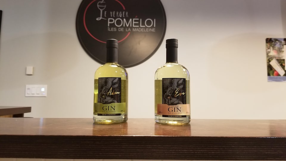 Les gins Adam et Ève élaborés à partir de pommes du verger Poméloi aux Îles-de-la-Madeleine.