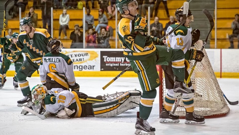 Des joueurs de hockey en vert, jaune et blanc durant une partie