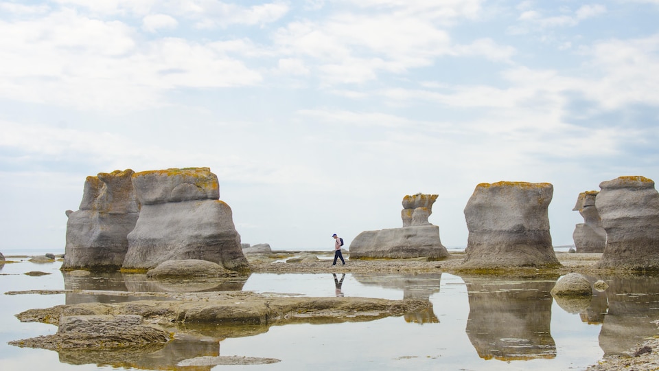 L'île Niapiskau du parc national de l'archipel-de-Mingan