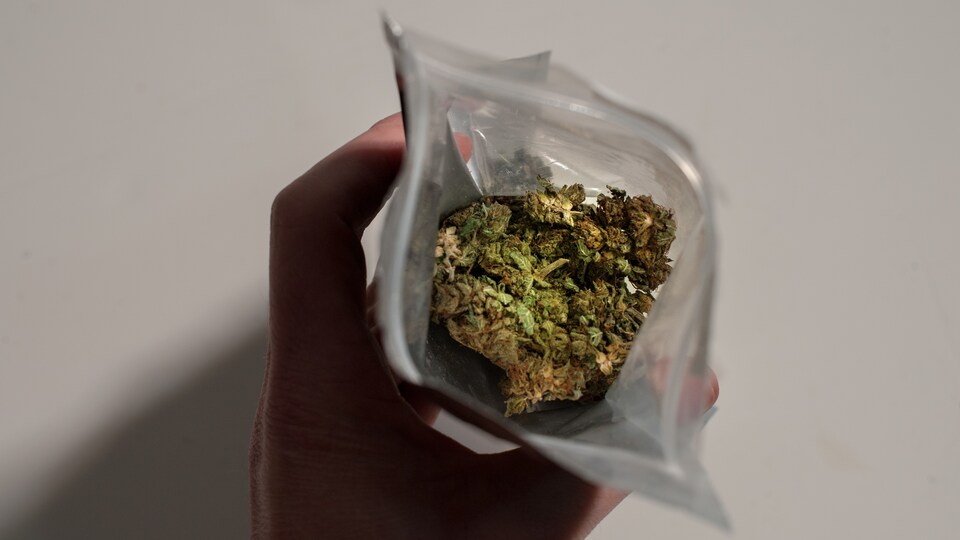 Gros plan d'un paquet de marijuana.