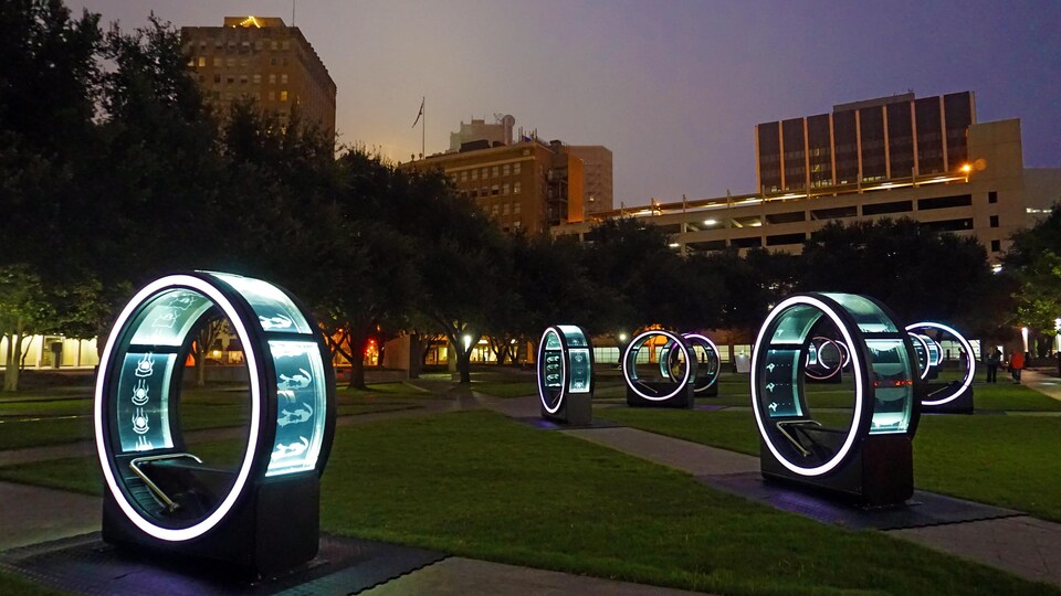 Des installations artistiques Loop dans un parc.