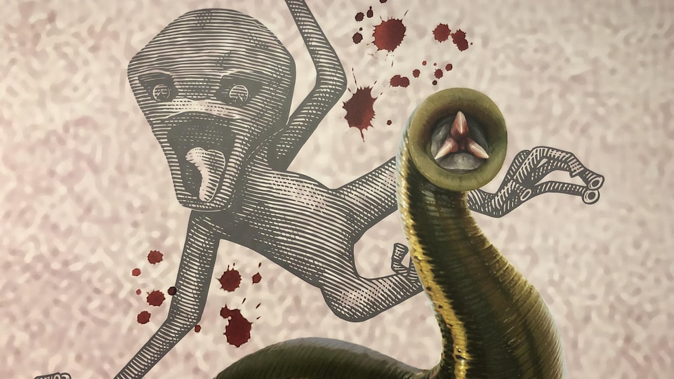 Dessin d'une sangsue et sa bouche formée de trois pales pour couper la peau et un animal légendaire d'Australie.