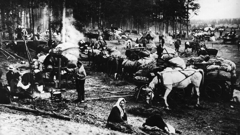 Groupe de réfugiés russes et leurs chevaux dans un campement en Lettonie, en 1917.