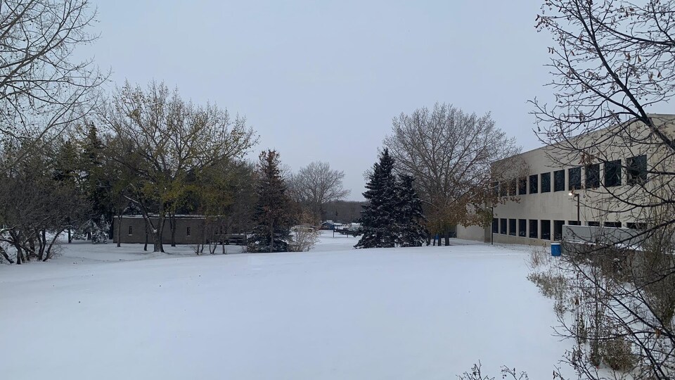 Un terrain recouvert de neige sous un ciel couvert.