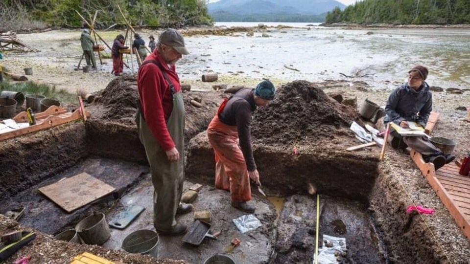 Des gens font des fouilles archéologiques sur le bord de l'eau.