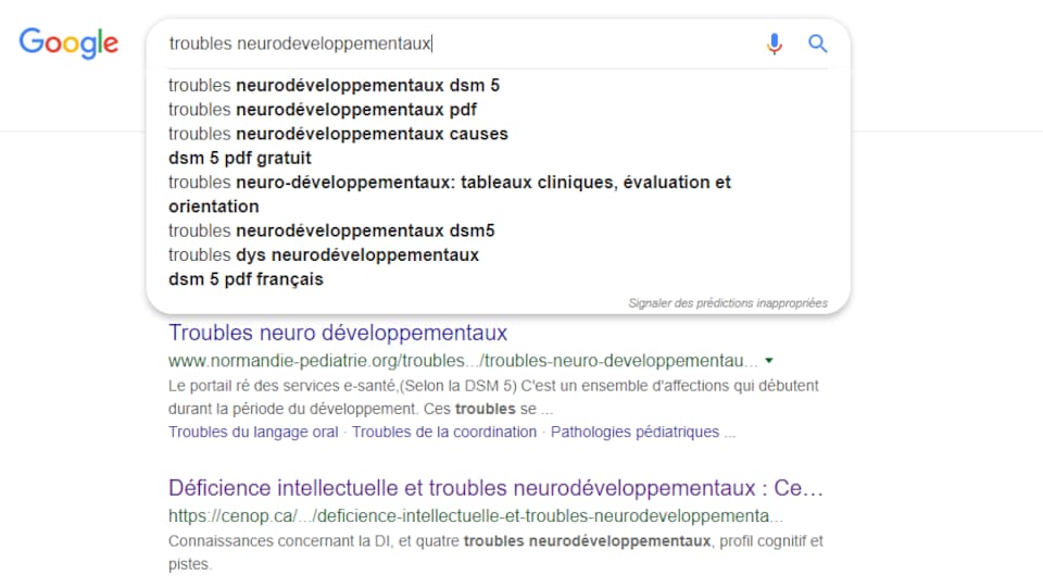 Une page internet Google avec des listes de recherches. 