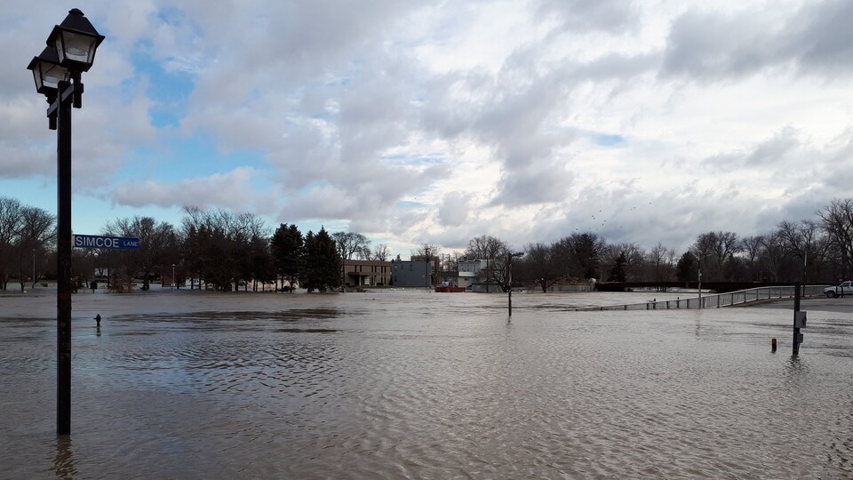 Un terrain inondé.