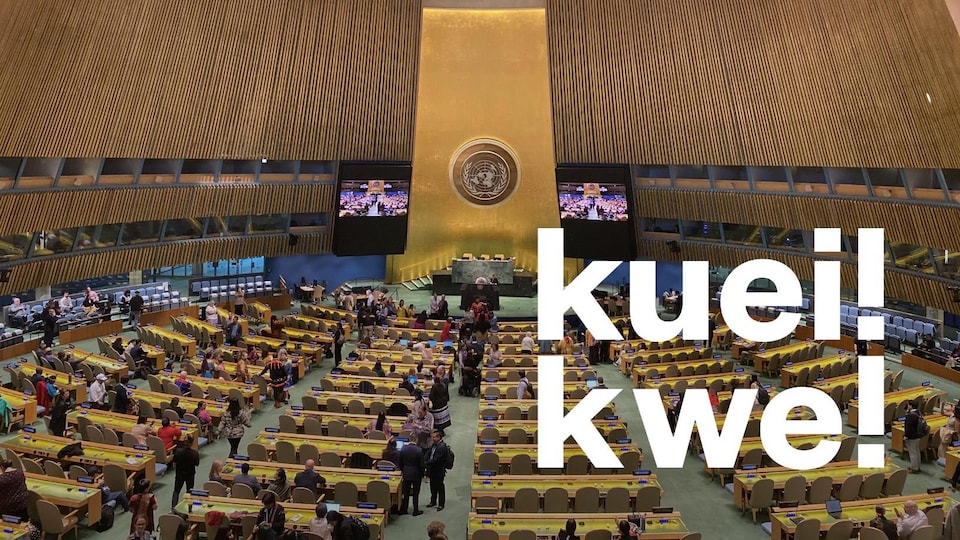 Travaux de Instance permanente de l'ONU sur les questions autochtones