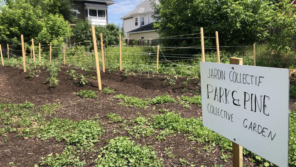 Une pancarte avec le nom du jardin collectif Park & Pine, en avant du jardin lui-même.