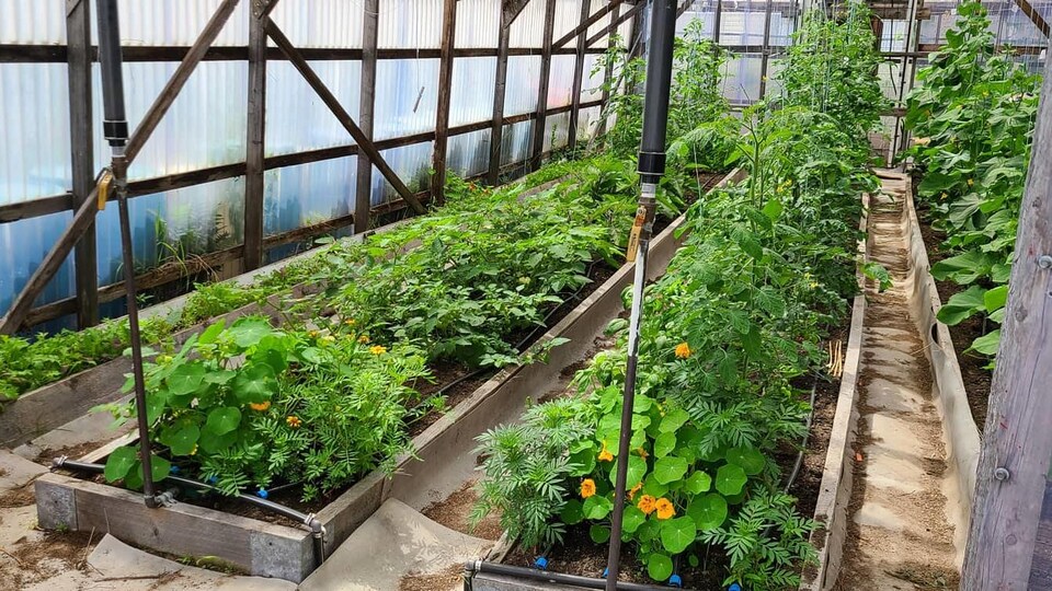 Jardin collectif de ChutesauxOutardes