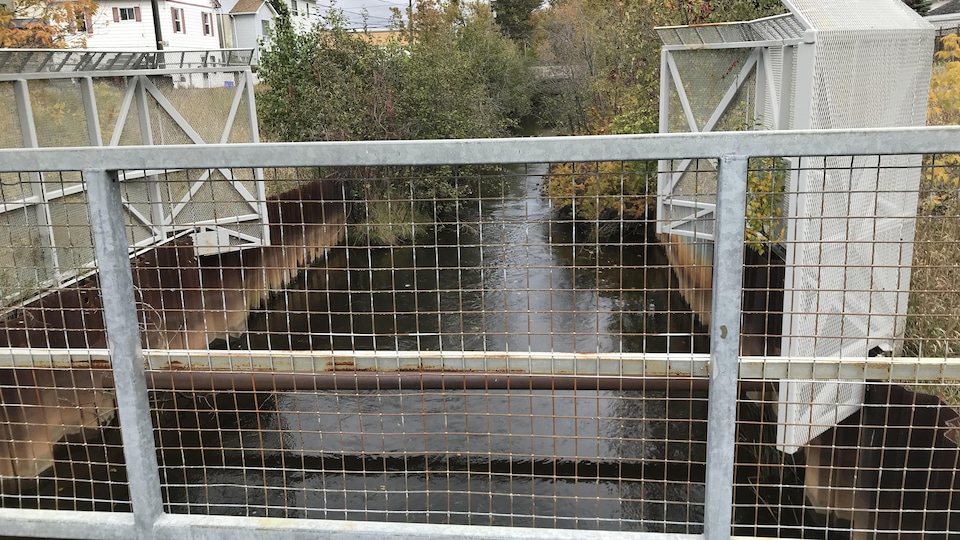 La photo a été prise sur le ponceau. On voit la clôture métallique avec le ruisseau derrière.