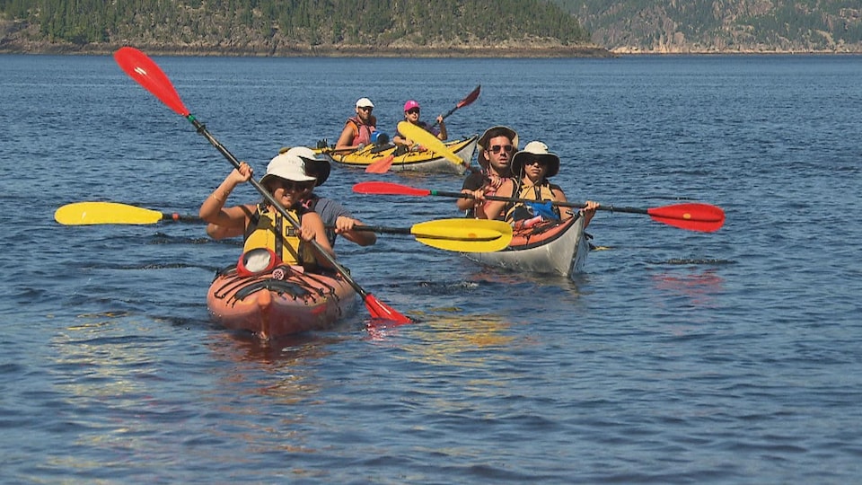 Des kayakistes sur l'eau.